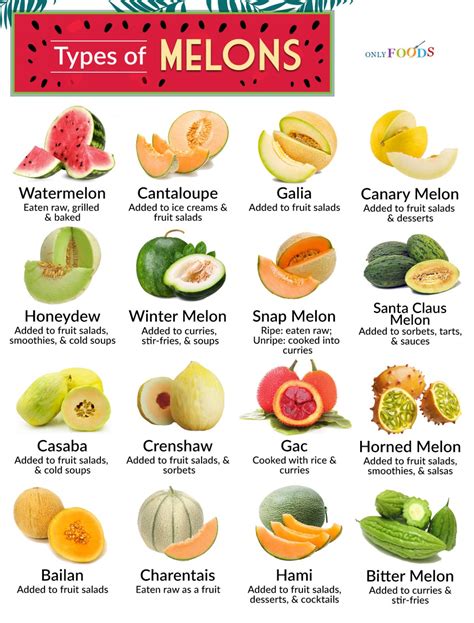 16 Different Types of Melon and What You Can do With Them