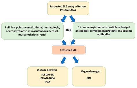 Advances in the Pathogenesis and Treatment of Systemic Lupus Erythematosus