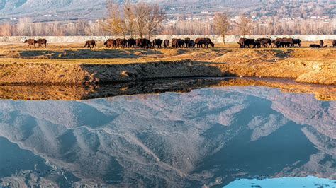 Lake Kerkini | Holidays in Macedonia | Discover Greece