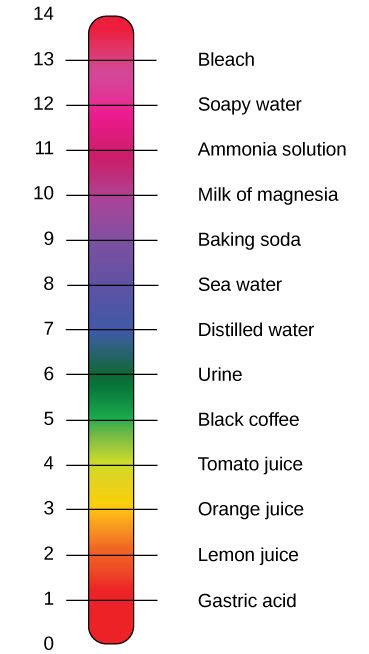 The pH Scale | Biology for Majors I