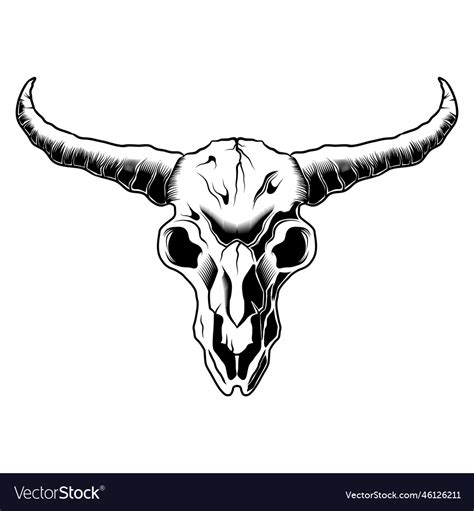 Skull bull head black and white drawing longhorn Vector Image