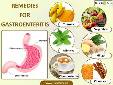 Fruits for gastroenteritis - Food Keg