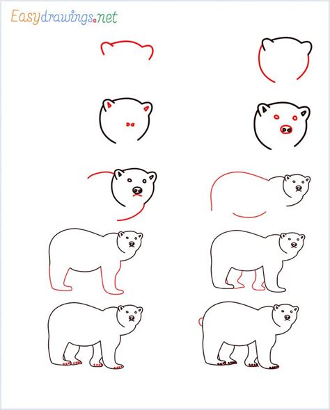 How To Draw A Grizzly Bear Step By Step Easy at Drawing Tutorials