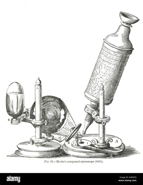 First Microscope Robert Hooke