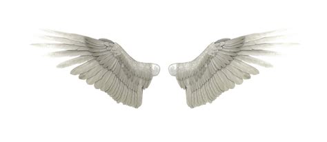 Angel Wings, Ethereal, Graceful, Soaring, Spiritual PNG