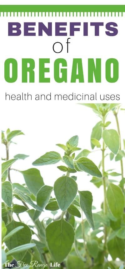 The Many Uses and Benefits of Oregano