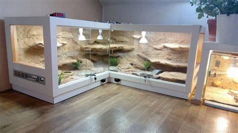 Very cool vivarium | Reptile terrarium, Reptile room, Snake terrarium