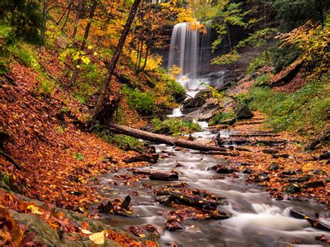 Favorite Hikes on the Finger Lakes Trail – Go Finger Lakes