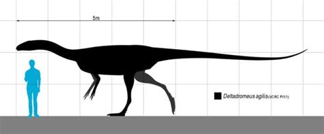 Deltadromeus | The Agile Runner of Cretaceous Sahara