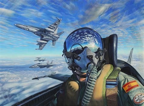 Online crop | HD wallpaper: jet pilot illustration, gray jet fighter ...