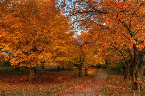 Autumn in High Park - Explored! #412 | also seen in: www.blo… | Flickr