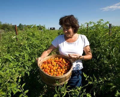 Organic Farming Profitability - Our Breathing Planet