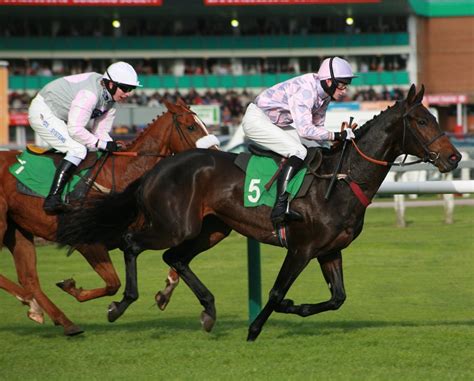 TOP ELEVEN FACTS ABOUT BRITISH HORSE RACING | PWInsider.com