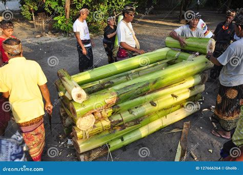 Prepare a Procession of Ngaben Editorial Stock Image - Image of ekspres ...