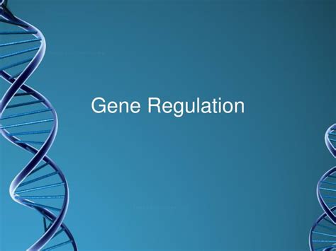 PPT - Gene Regulation PowerPoint Presentation, free download - ID:2690952