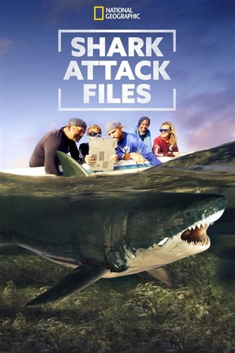 Shark Attack Files (2021)