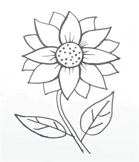 How To Draw a Sunflower: 10 EASY Drawing Projects