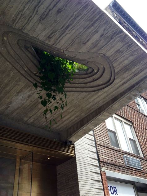 #urban garden on an overhang in NYC | Rooftop garden, Garden ...