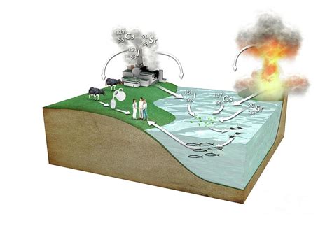 Sources Of Radioactive Nuclides #1 Photograph by Mikkel Juul Jensen ...