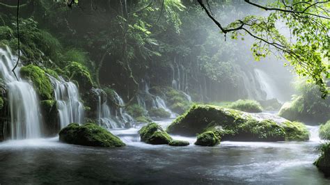 Spring Waterfall Stone Fog Mist Green Forest 4K HD Nature Wallpapers ...