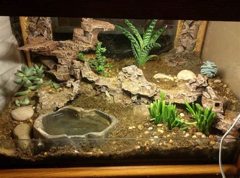 Amazing Pet Enclosures | Gecko terrarium, Gecko habitat, Leopard gecko ...