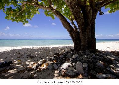 Tropical Beach Scene Micronesia Yap State Stock Photo 197757647 ...