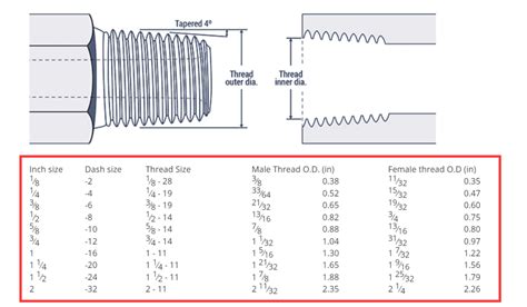 BSPP VS BSPT VS R VS Rc Thread Difference - Hydraxio: China SS ...