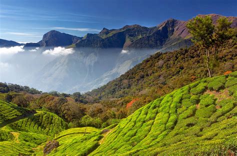 How Kerala Tourism Fought Back to Life Post Covid-19? | Spicetree Munnar