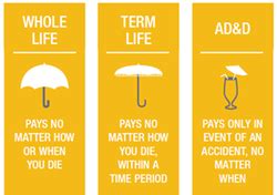 Accidental Death & Dismemberment Insurance | MCU