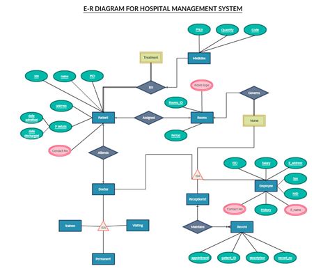 ER Diagram Software with Real-Time Collaboration | Creately