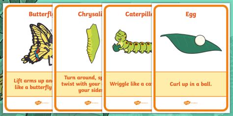 Cody the Caterpillar's Life Cycle Movement Activity Display Posters