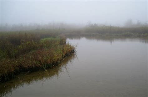 Baytown Nature Center Hike 12-18-2008 - Baytown, Texas