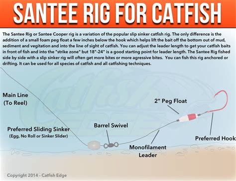 Santee Cooper Rig For Catfish: A Catfishing Essential