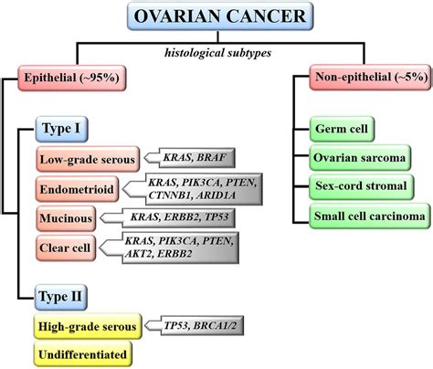 Classification of ovarian malignancies. Ovarian neoplasms are ...