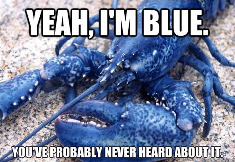 Yeah, i'm blue. You've probably never heard about it. - Hipster Lobster ...