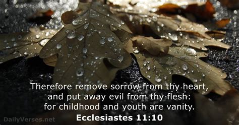 Ecclesiastes 11:10 - Bible verse (KJV) - DailyVerses.net