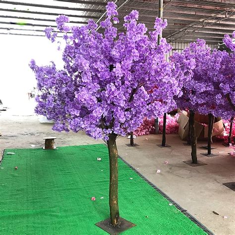 Purple Cherry Blossom Tree | ubicaciondepersonas.cdmx.gob.mx