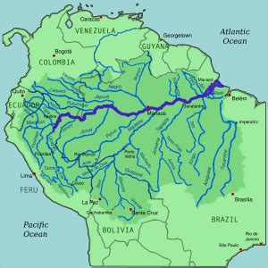 Amazon River - Wikipedia