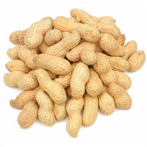 Peanuts, Raw, In Shell Jumbo - Nuts - Wholesale - Bulk - Nutsite