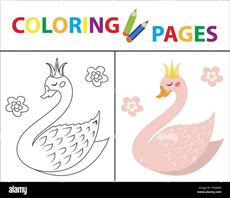 Baby Swan Coloring Pages