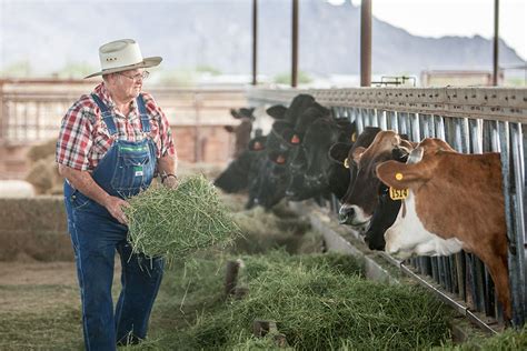 Beefing up: Rancher takes lifetime in cattle business ranch-to-table ...