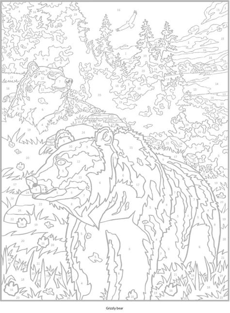 Color By Number Coloring Pages Animals Hard