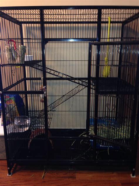 Bird cage turned into bunny condo for my holland lop! | Diy bunny cage ...