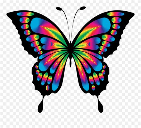 Download Colorful Butterfly Drawing Clipart (#5384751) - PinClipart