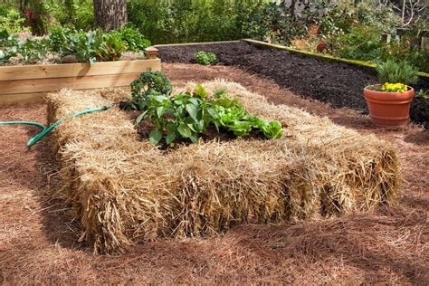 Choosing Materials for a Raised Garden Bed | HGTV