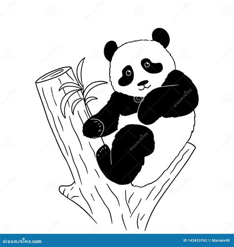 Sketch Of A Cartoon Panda On Tree On White Background. Vector ...