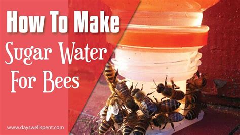 How To Make Sugar Water To Feed Honey Bees | Sugar water for bees ...