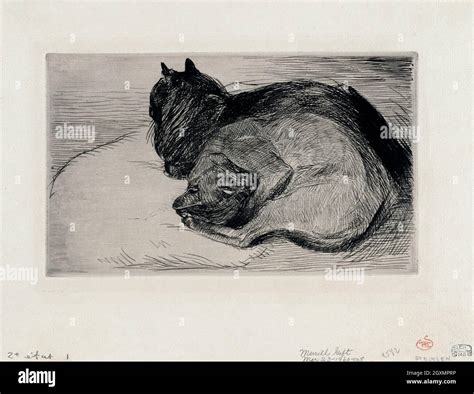 Two sleeping cats Stock Photo - Alamy