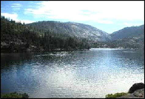 Pinecrest Vacation Rentals