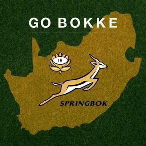 Go bokke | South africa rugby, Springbok rugby, Springboks rugby south ...